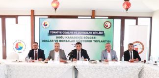 Güç Birliği İçinde Bölgesel Olarak Kalkınmalıyız