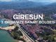 Giresun 3. Organize Sanayi Bölgesi